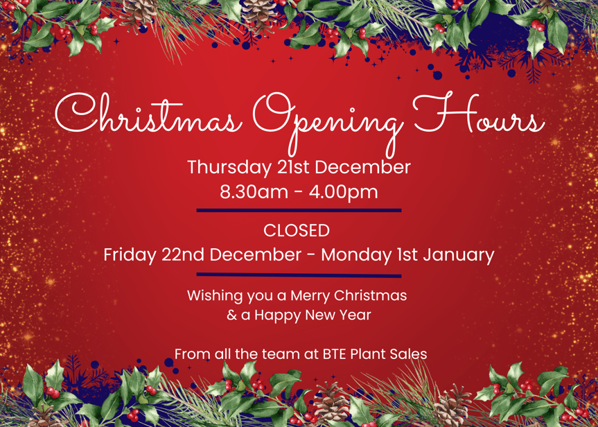 Christmas Opening Hours 2023